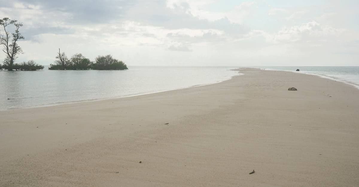 Derawan 4 Hari 3 Malam dari Jakarta: Itinerary, Budget, Kakaban