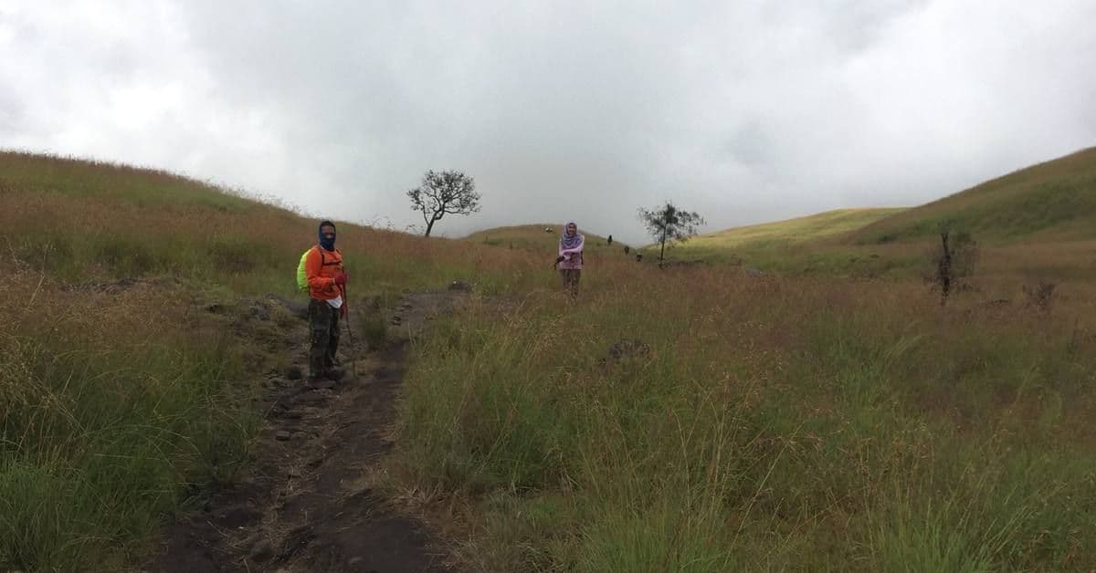 Jalur Senaru Rinjani Dibuka Kembali, Torean Masih Ditutup
