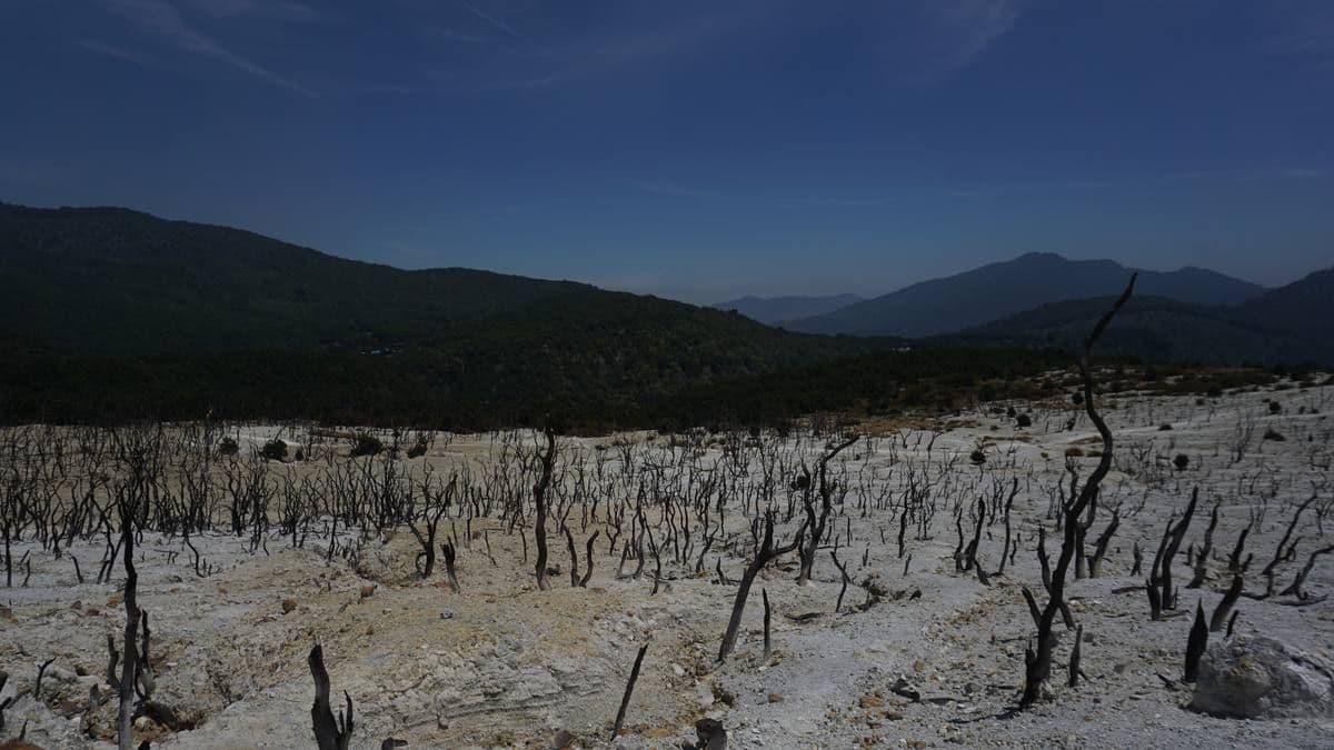 Papandayan Dibuka Terbatas: Aturan dan Jam Buka Kawasan