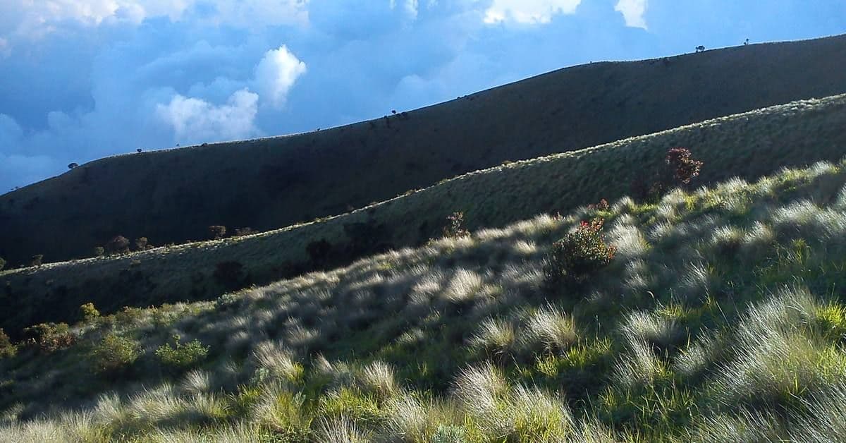 Pendakian Merbabu: Jalur Thekelan dan Wekas Tutup Bergantian