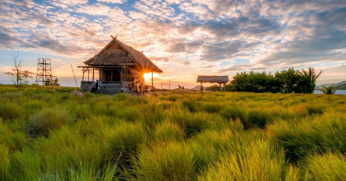 Pulau Kenawa Terbakar: 5 Hektare Savana Hangus 4 Oktober